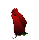 c08f00094285433724622cabdab26107.gif