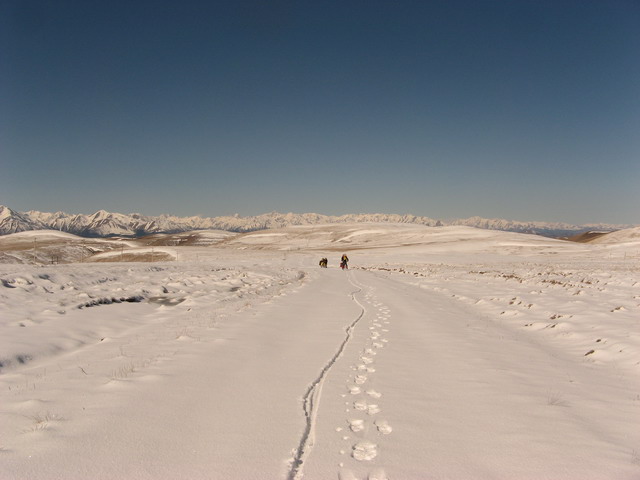 IMG_7390.JPG