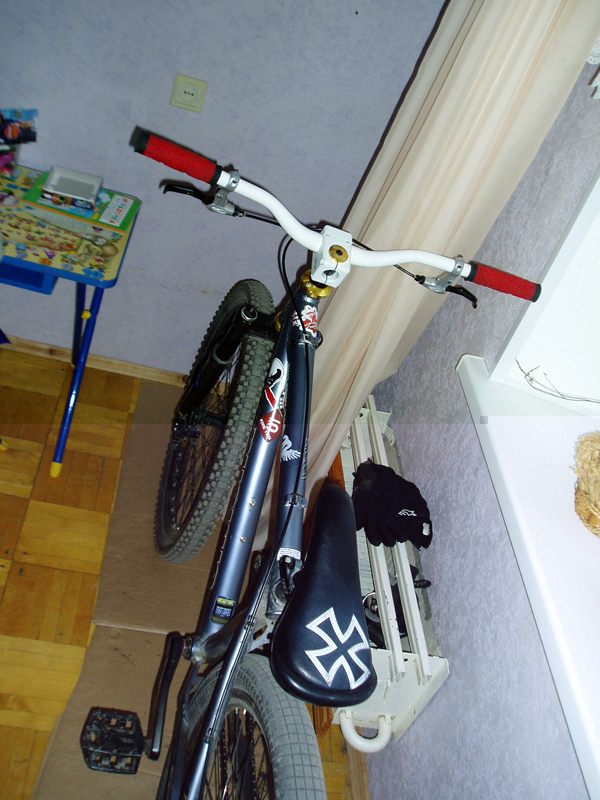 P1.jpg