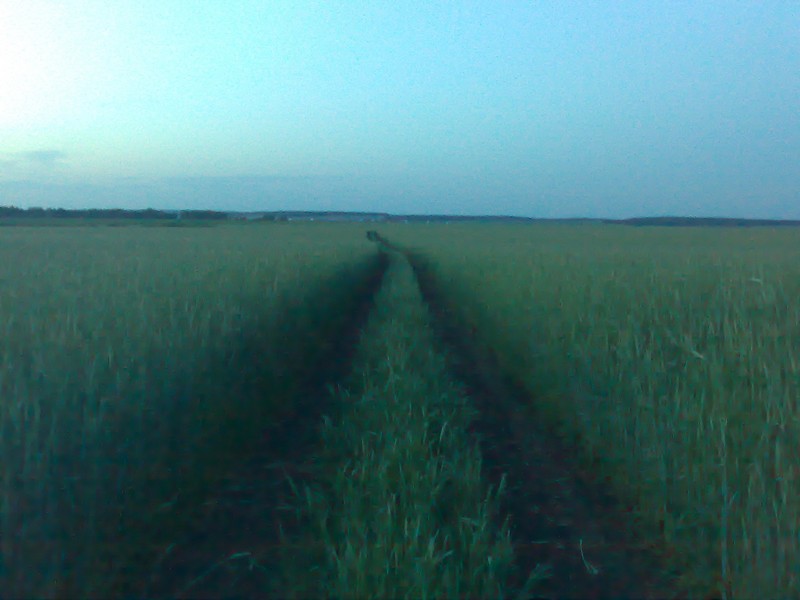 06062009161.jpg