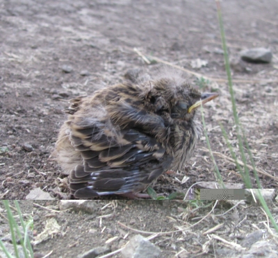 file_0906.jpg