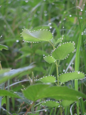 file_0919.jpg