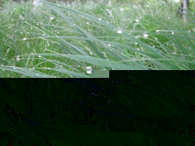 file_0928.jpg