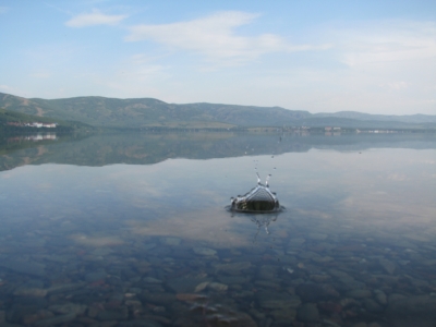 file_1038.jpg