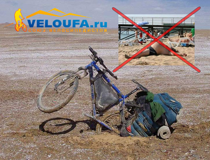 nematras.jpg