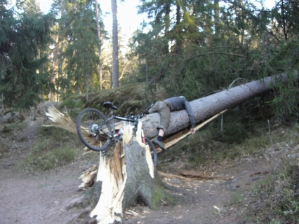 1-P1010292_thumb_thumb.jpg