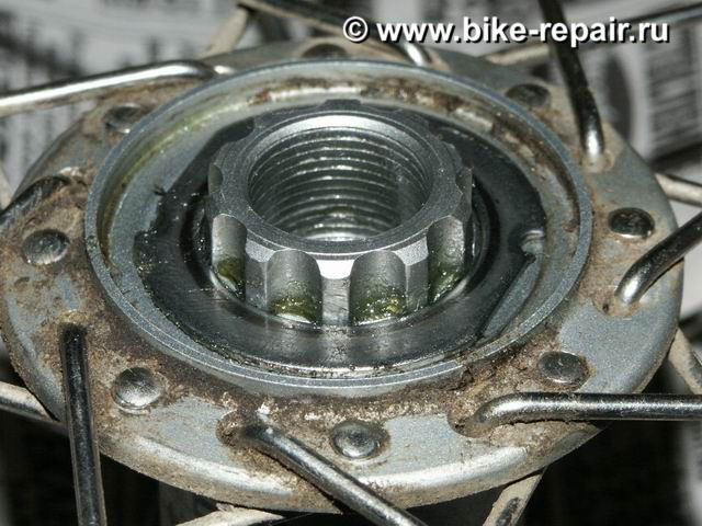 PICT0575.JPG