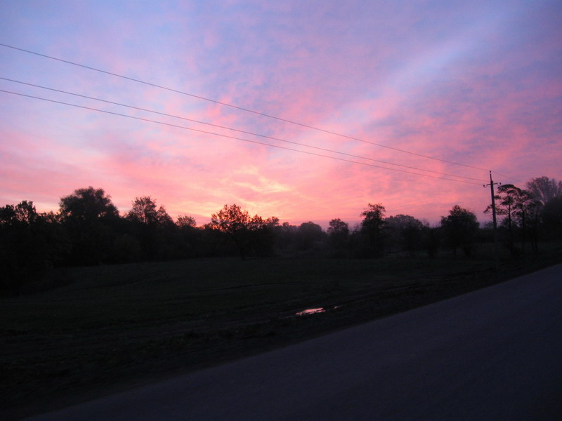 IMG_61791.jpg