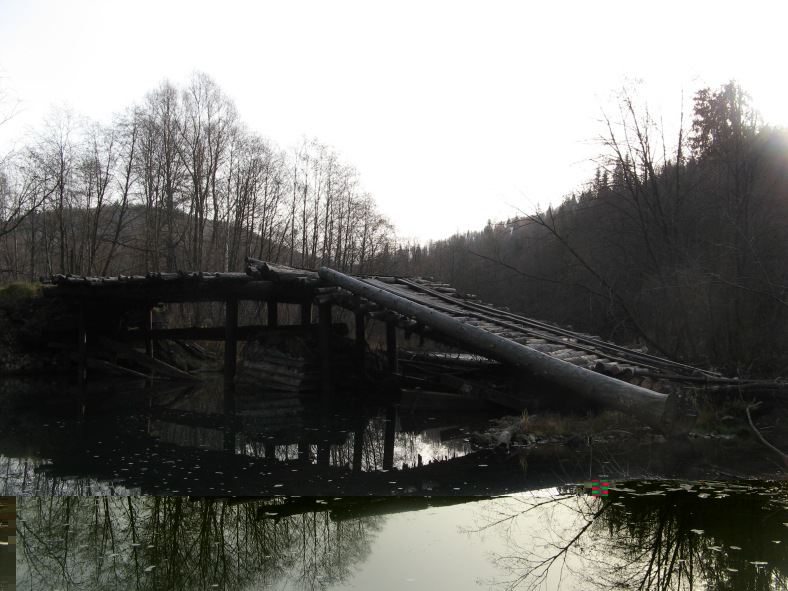 мотс2.jpg