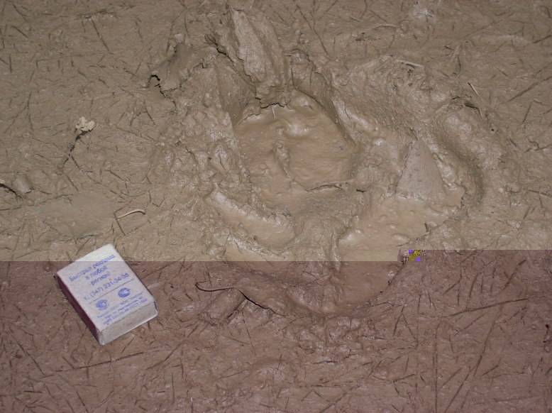 PA244397.JPG