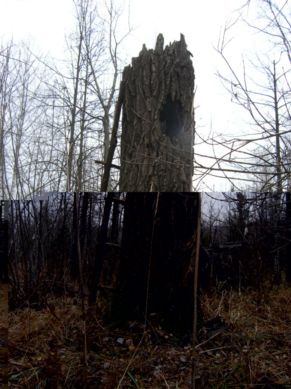 PA244395.JPG