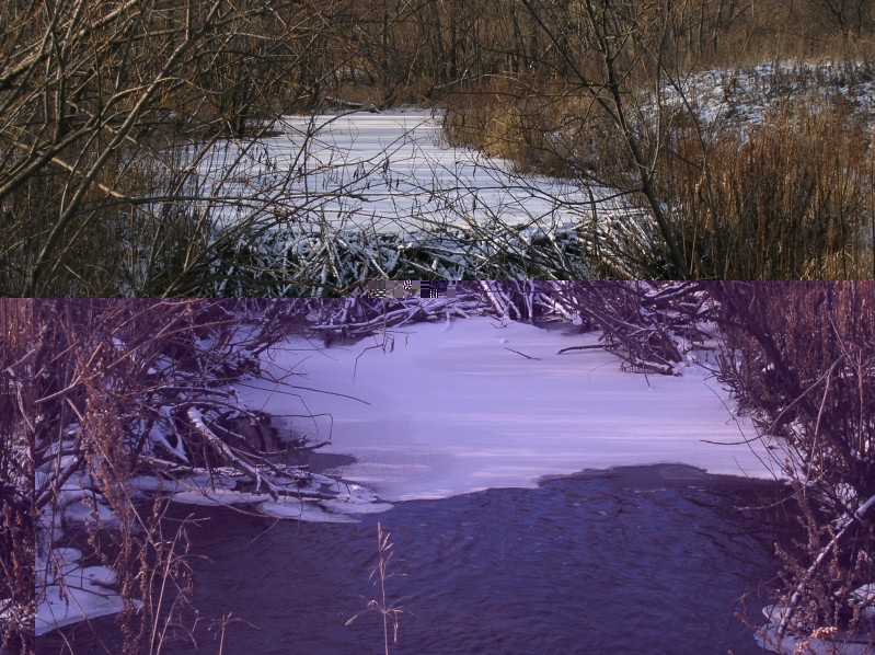 PB074624.JPG