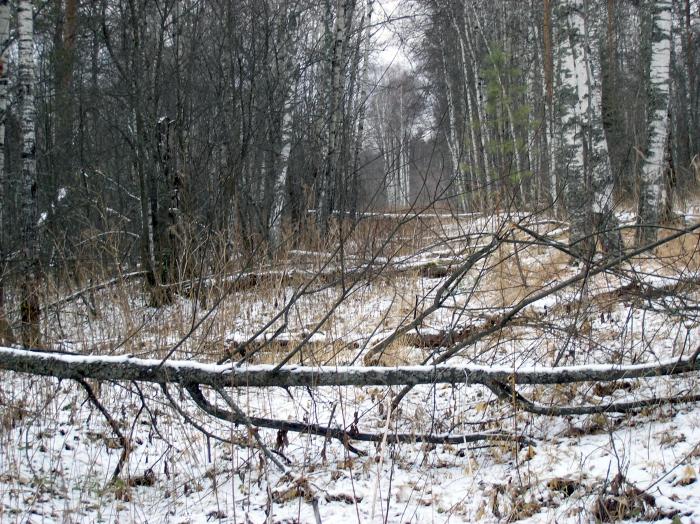 PB064609.JPG