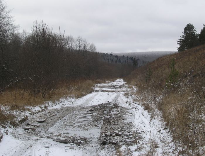 PB064561.JPG