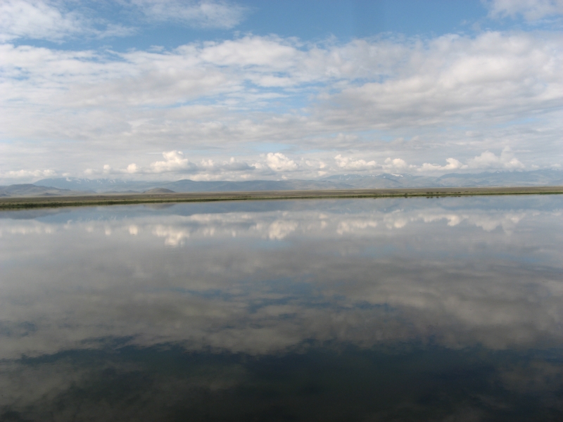 IMG_8704Ильнур.JPG