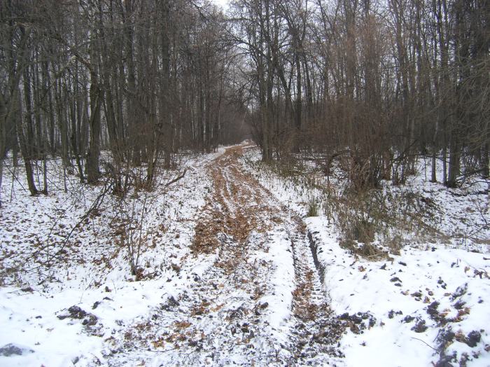 PB224649.JPG