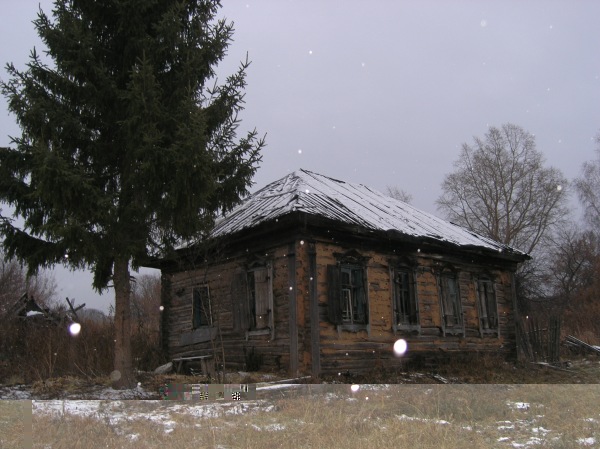 PB224680.JPG