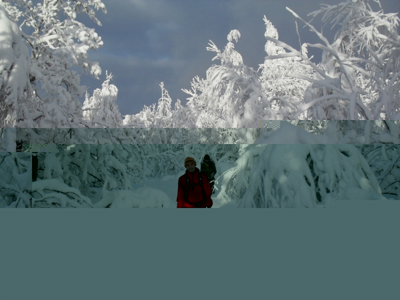 SDC10979.jpg
