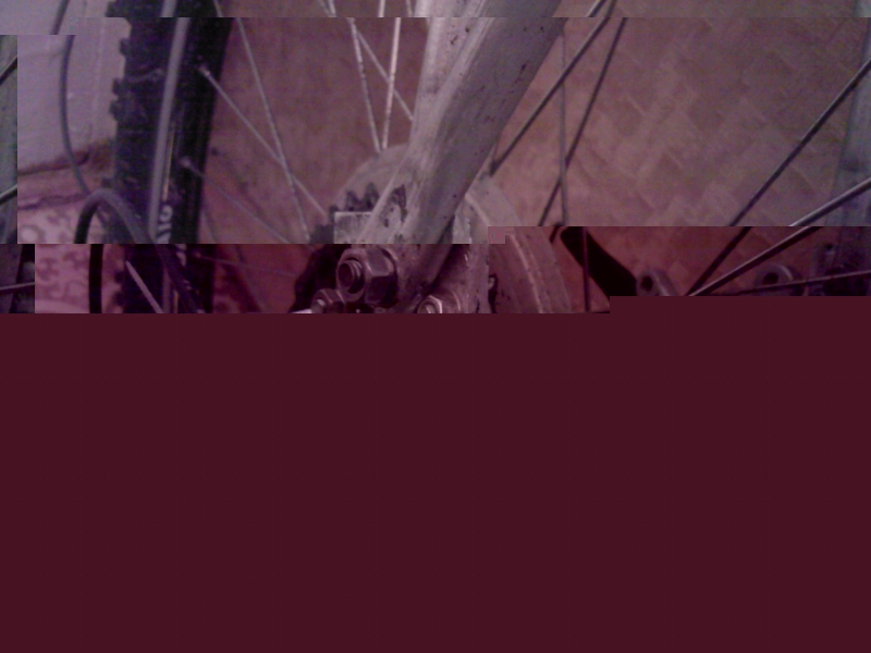 SP_A0985-.jpg