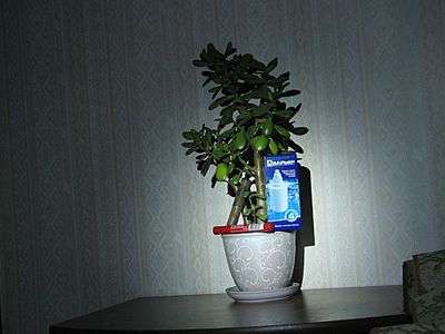 2089970.jpg