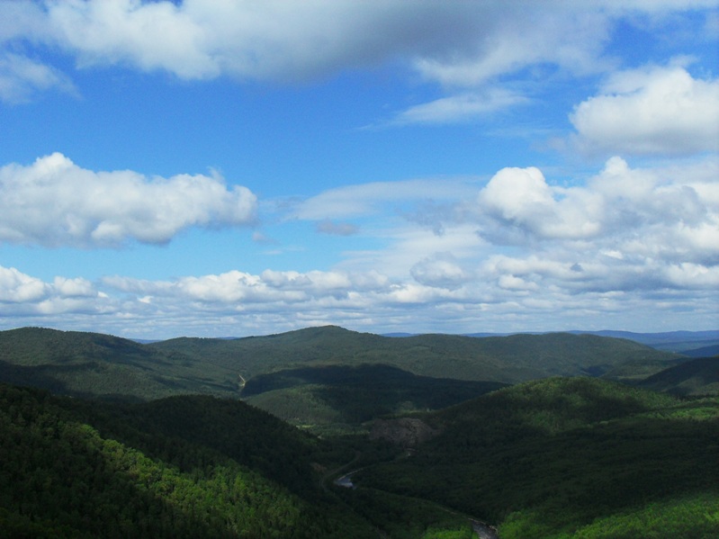 SDC10763.JPG