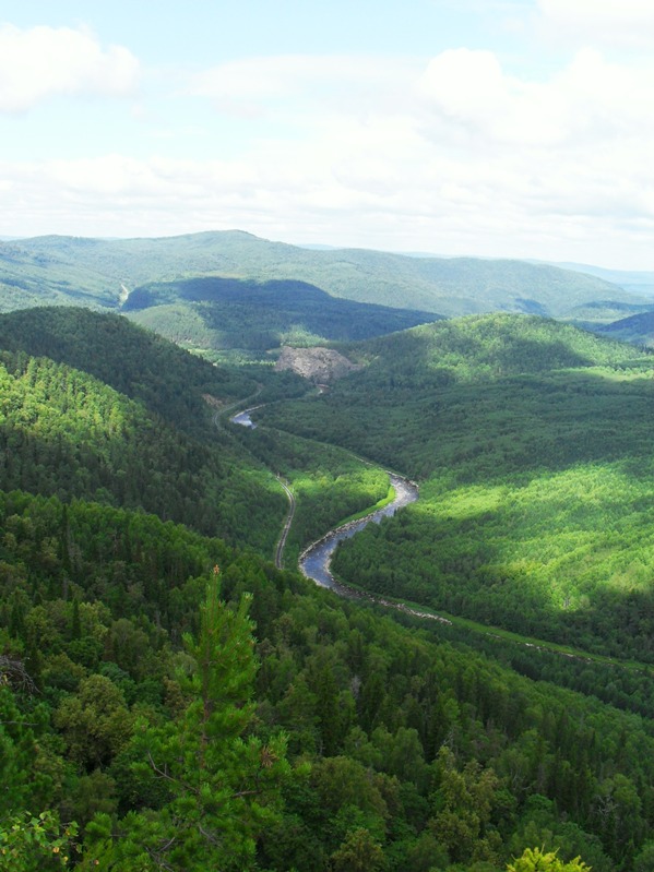 SDC10764.JPG