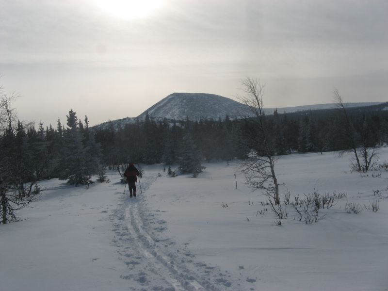 IMG_9910.JPG