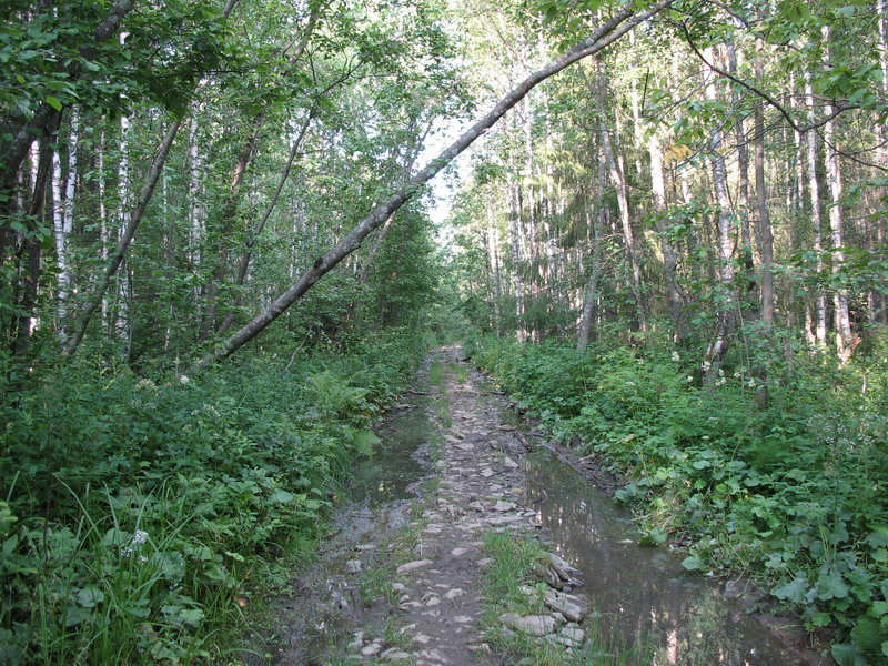 IMG_6621.jpg