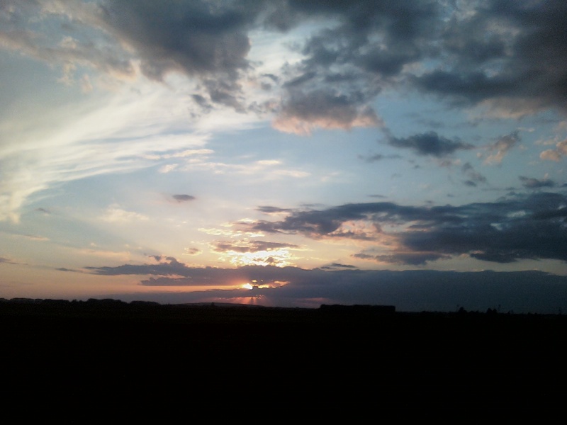 IMG004-01.jpg