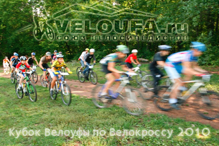 xc2010.jpg