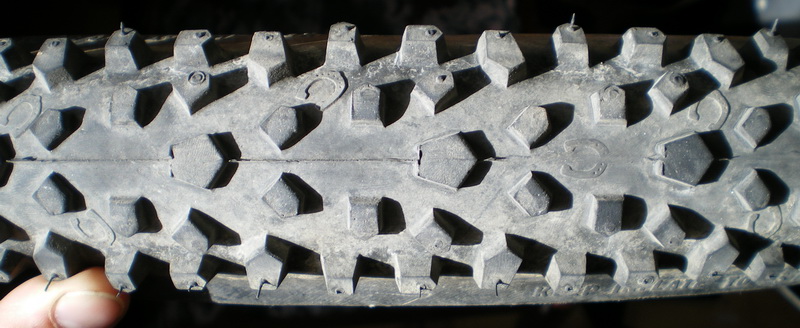 IMGP0212.jpg