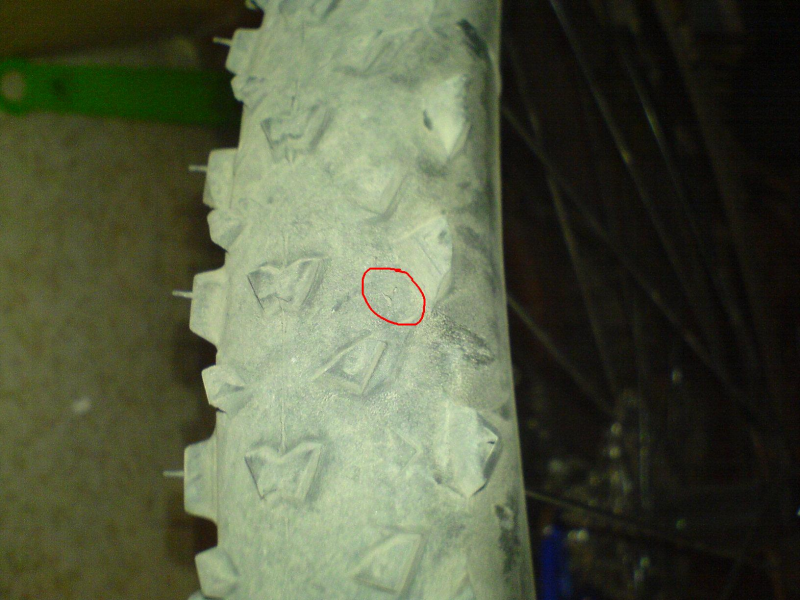 DSC01307.png