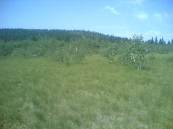 Image(1000).jpg