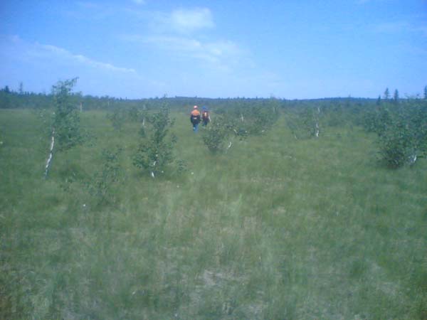 Image(1001).jpg