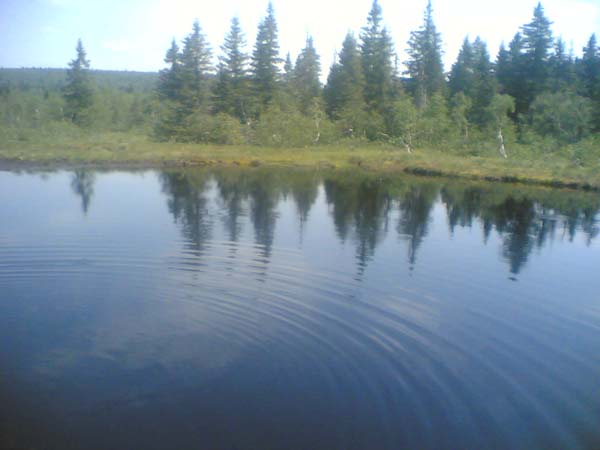 Image(1004).jpg