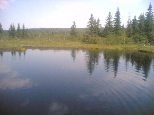 Image(1005).jpg