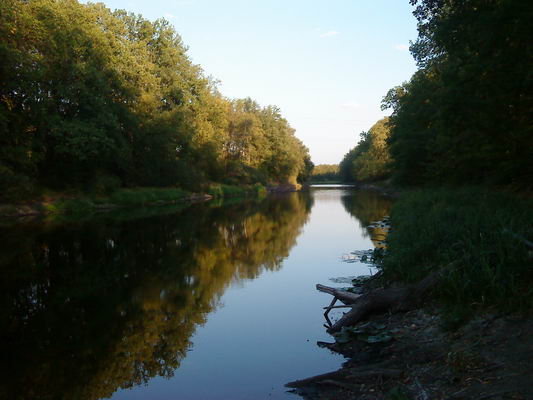DSC00491.JPG