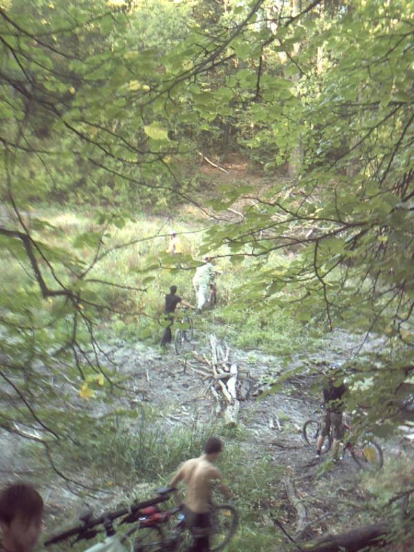 CRIM0126.JPG