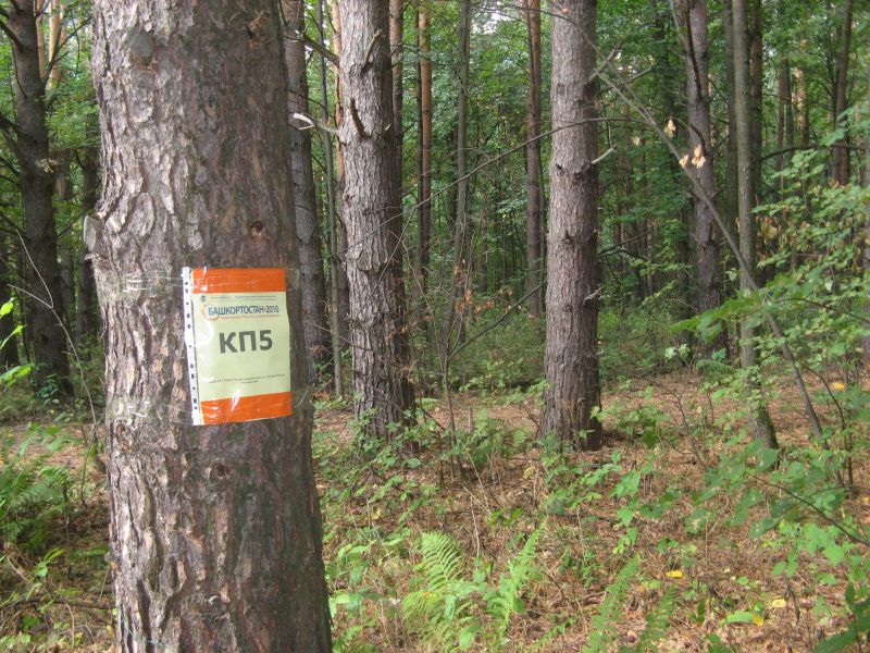 КП05_2.JPG