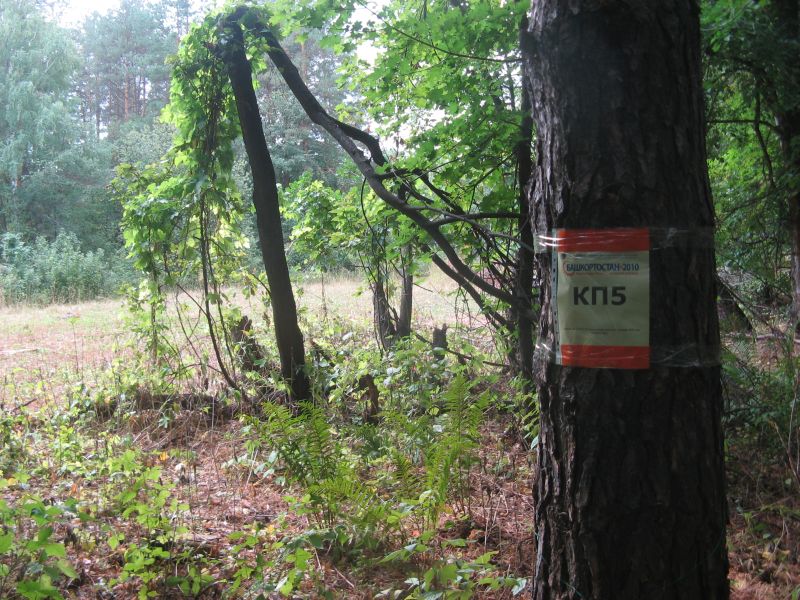 КП05_1.JPG
