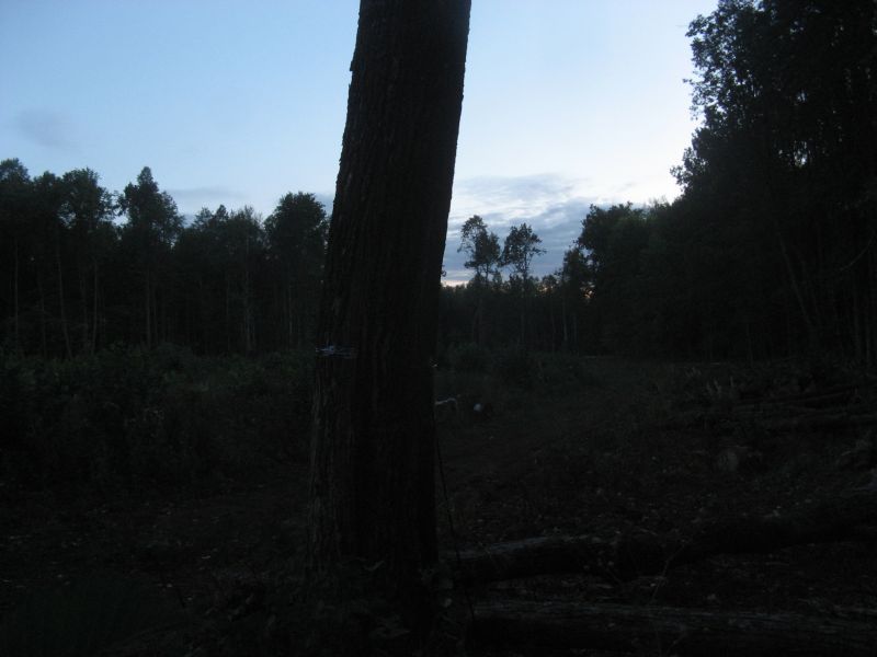 КП04_1.JPG