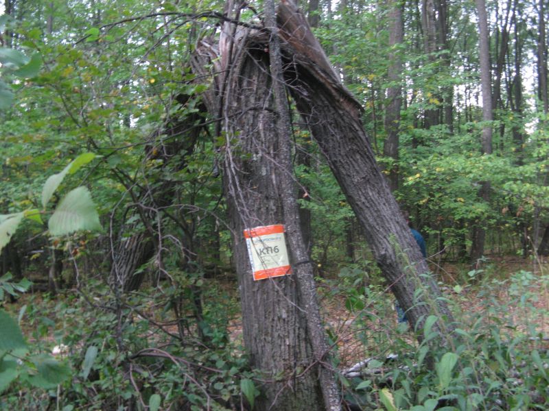 КП06_1.JPG