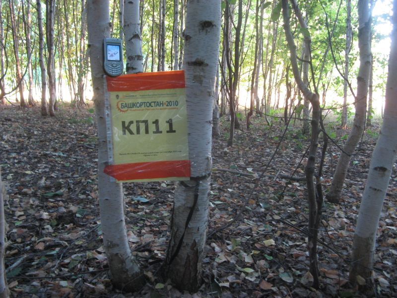 КП11_1.JPG