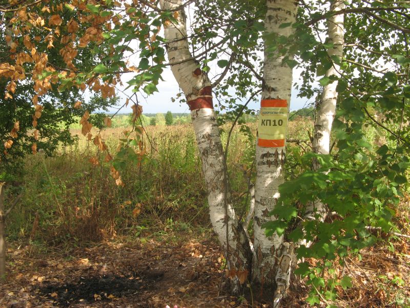 КП10_1.JPG