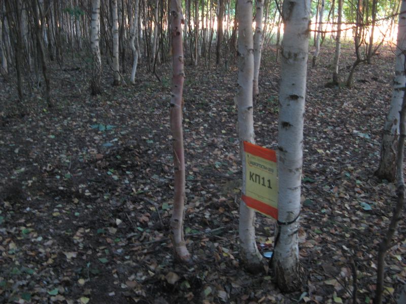 КП11_2.JPG
