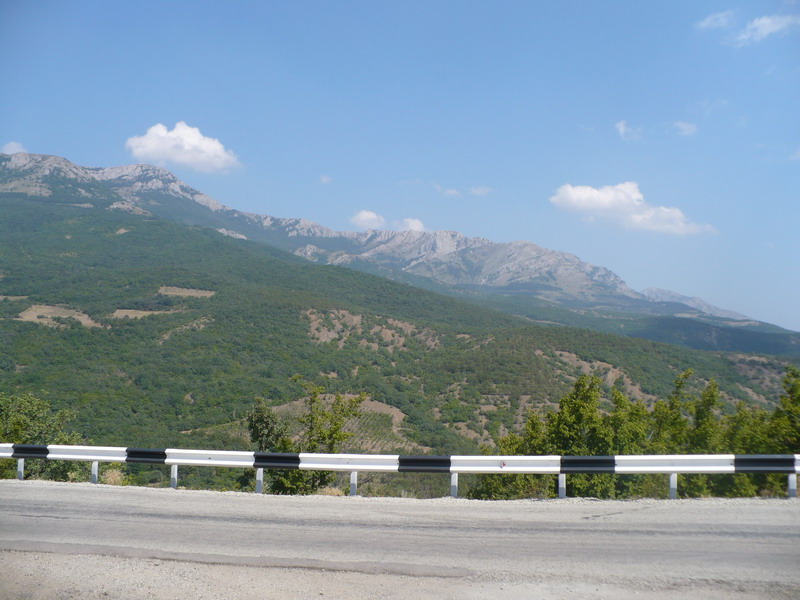P1060548_resize.JPG