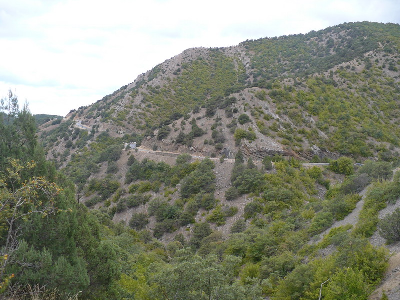P1060641_resize.JPG