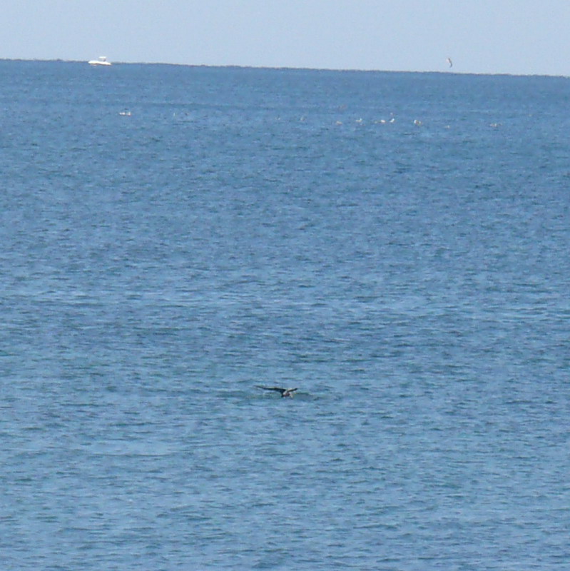 P1060756_resize.jpg