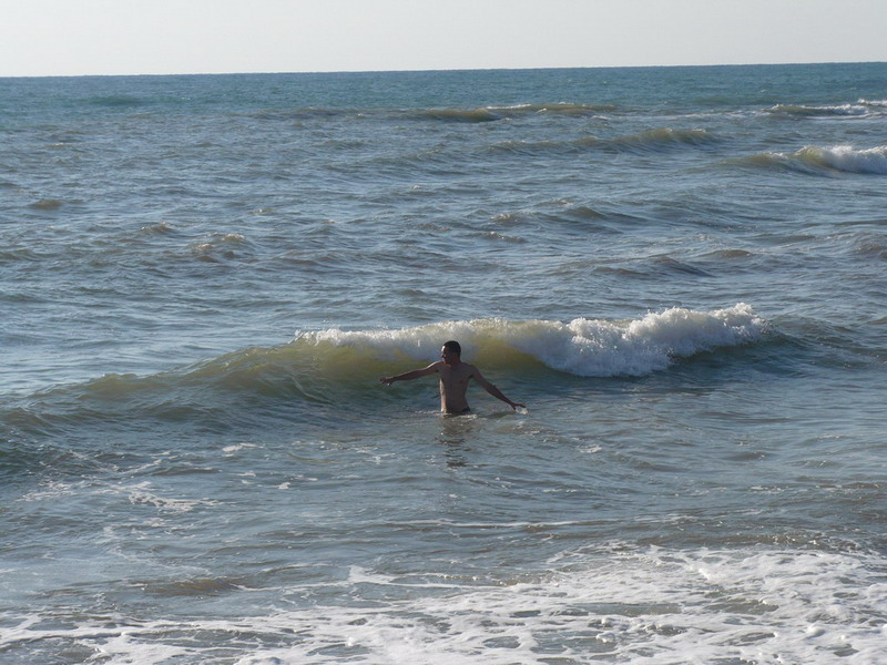 P1060841_resize_resize.JPG