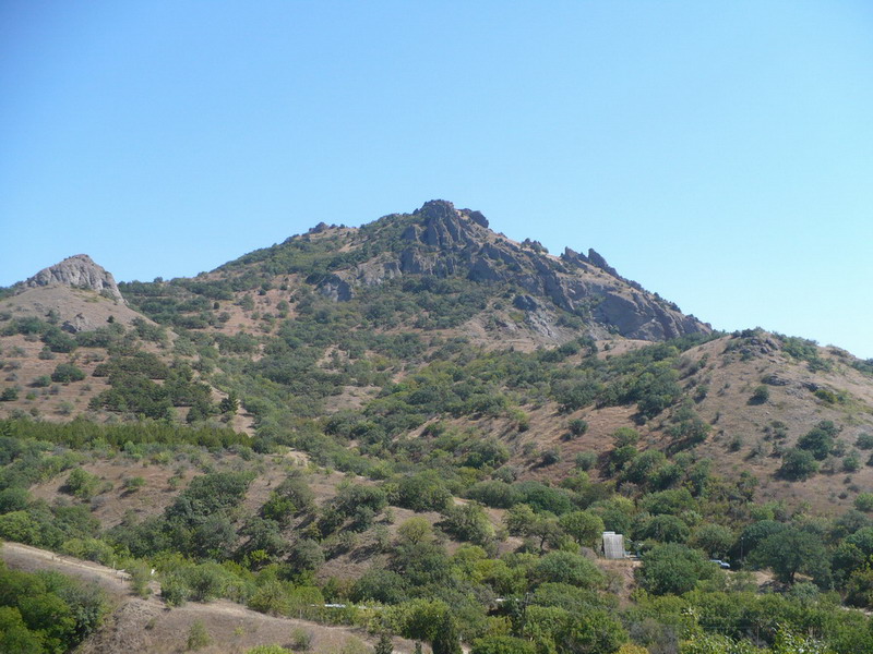 P1060897_resize_resize.JPG